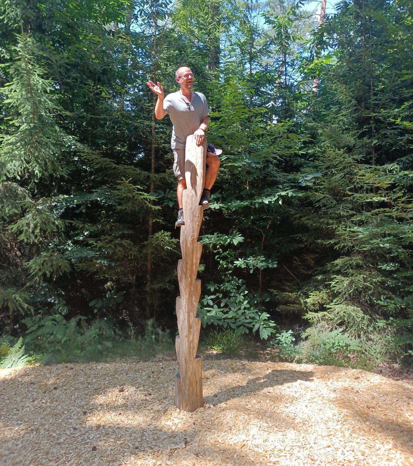 Chris steht auf einem Kletterbaum in einem Wald.