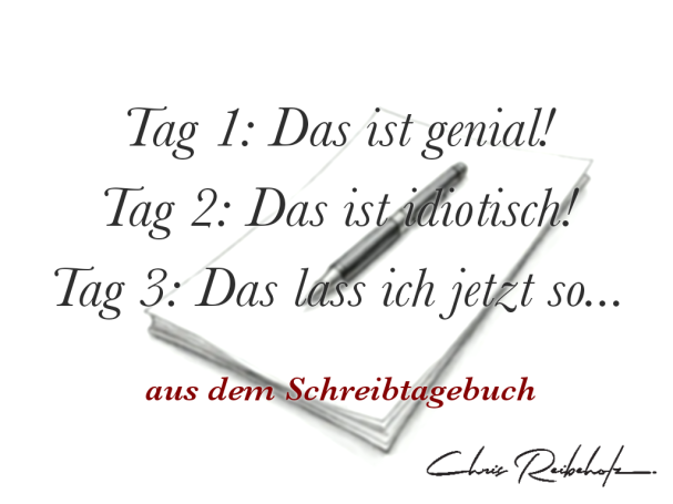 Auszug aus dem Schreibtagebuch